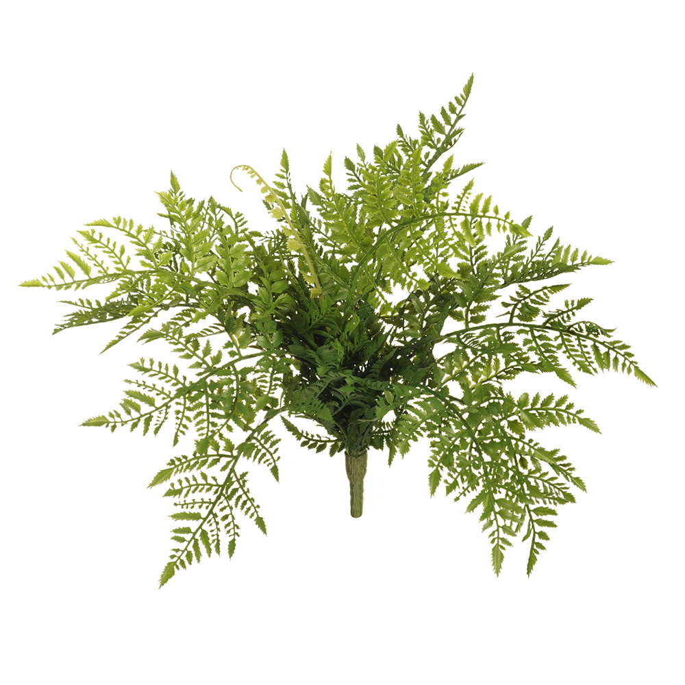 Fern Leather Bush Dark Green 40cm