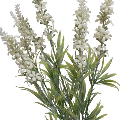 White Lavender Bush 37cm