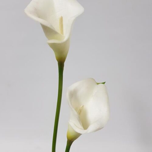 Artificial Calla Lily White 34cm