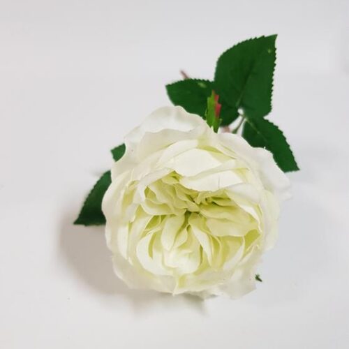Artificial David Austin Rose White 45cm
