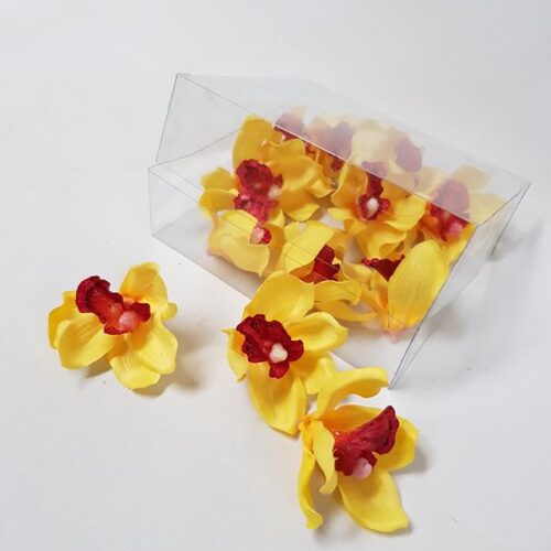 Cymbidium Orchid Heads Yellow