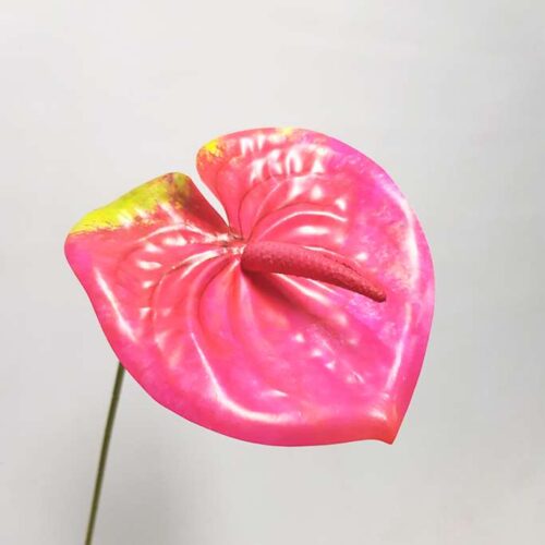 Anthurium Lily flower Hot Pink 60cm