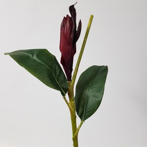 Artificial Heliconia Bud Burgundy 72cm