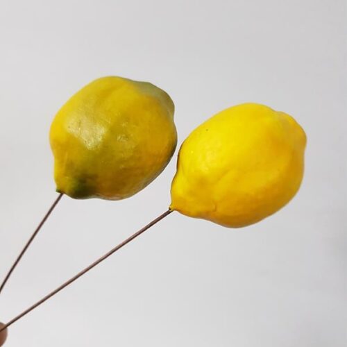 Artificial Lemon-Lime Bundle