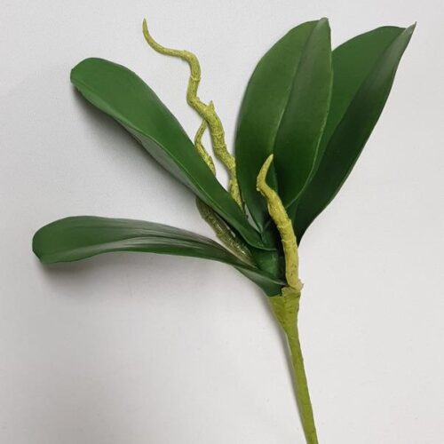 Artificial Phalaenopsis Orchid Leaf 24cm