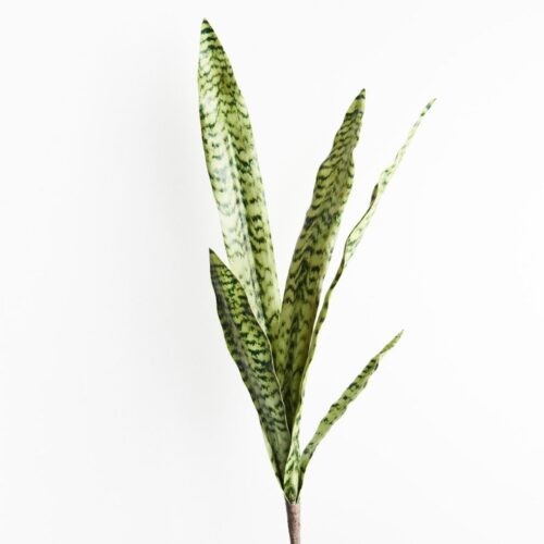 Artificial Sansevieria Bush Green 80cm