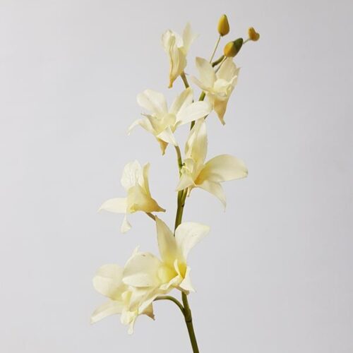 Artificial Singapore Orchid Cream 45cm