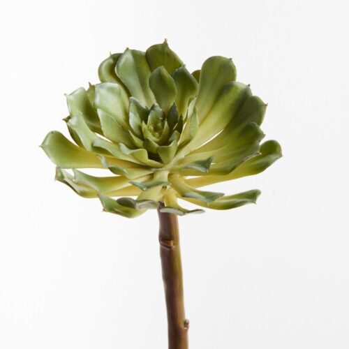 Faux Succulent Belle Green 20cm