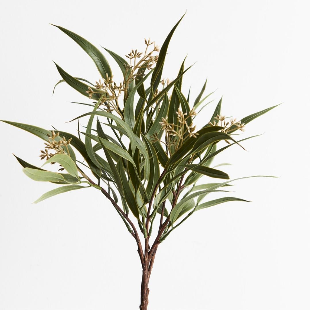 Lemon Eucalyptus leaf 43cm