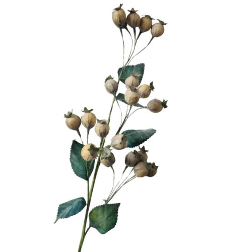 Mini Rose Hip Pods 56cm