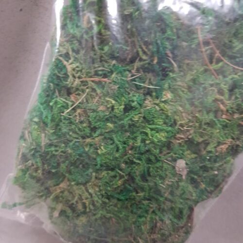 Moss Bag 30g