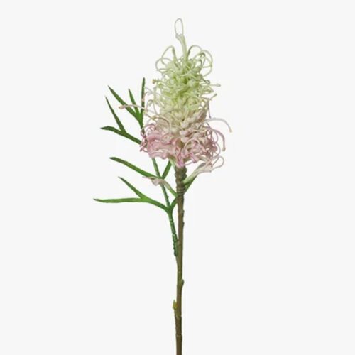 Native Grevillea Cream Pink 63cm