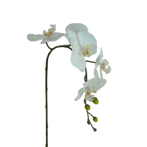 Phalaenopsis Orchid 5H Real Touch White 90cm