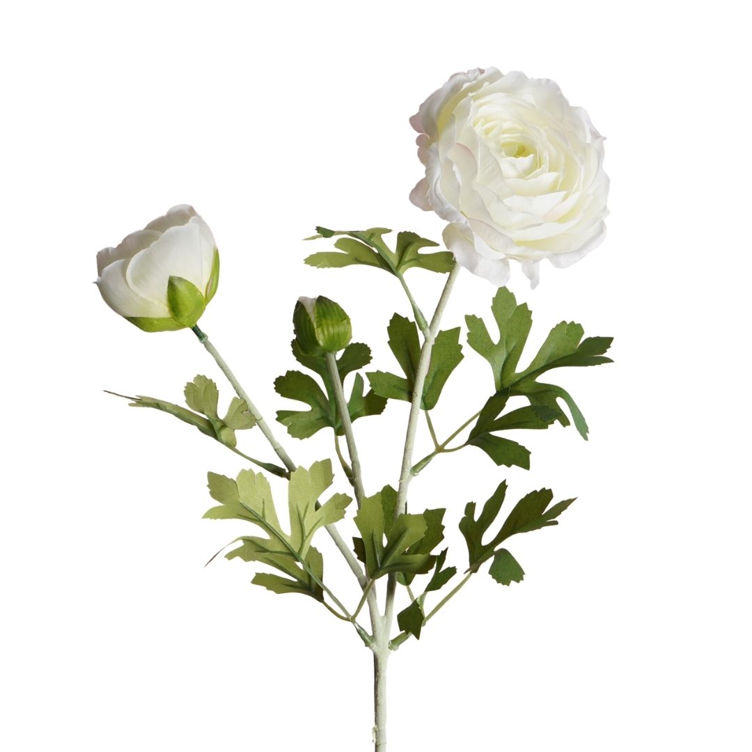 White Fake Ranunculus Artificial Ranunculus 2H White 62cm - Desflora