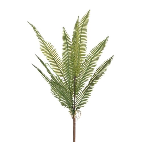 Fine Fishbone Fern Bush Green 48cm