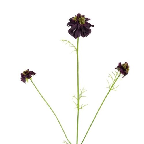 Artificial Scabiosa Flower Plum Black 77cm