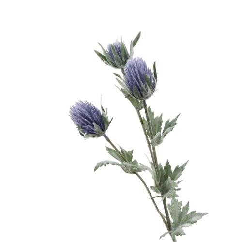 Artificial Seaholly 67cm