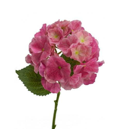 Hydrangea Savannah Bright Pink 49cm