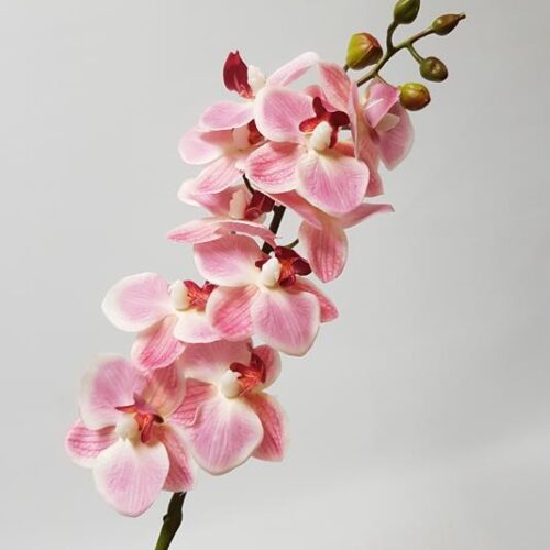 Artificial Phalaenopsis Orchid Pink 56cm