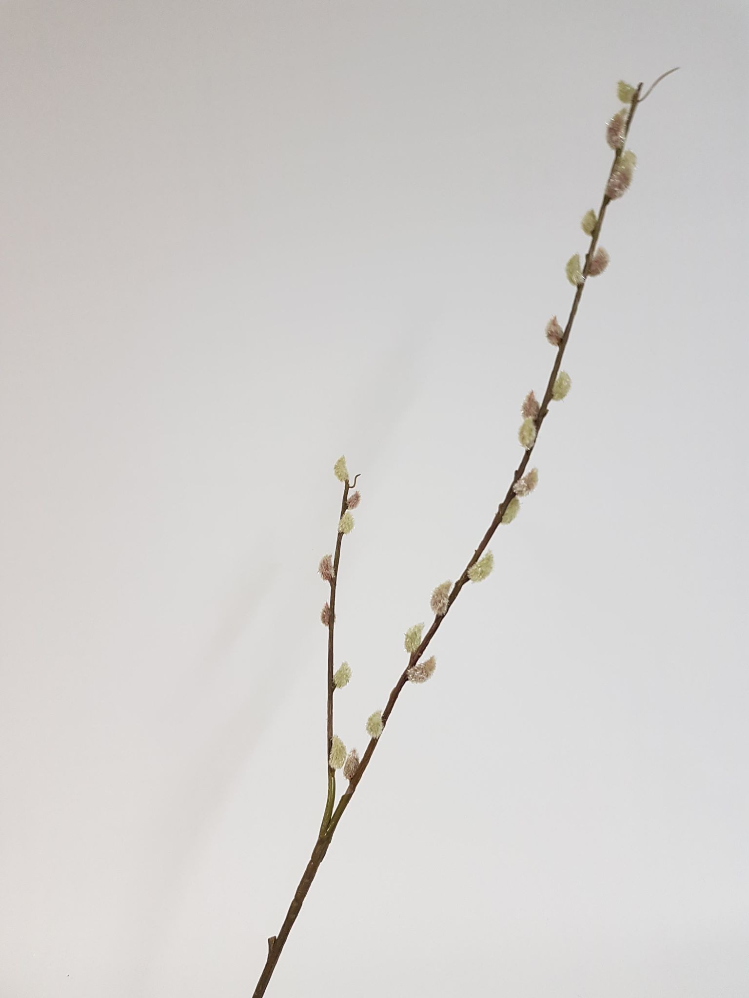Real Touch Pussy Willow 87cm - Image 2