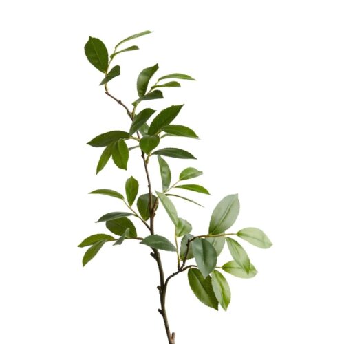 Artificial Bay Leaf Spray 82cm
