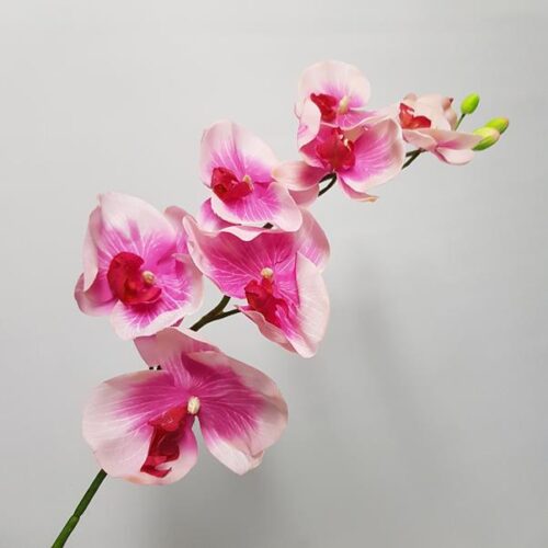 Artificial Orchid Miss Tilly Deep Pink 92cm