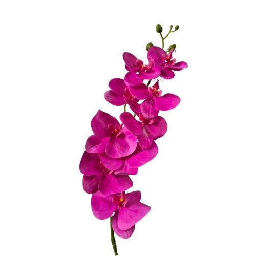 Artificial Phalaenopsis Orchid Hot Pink 80cm