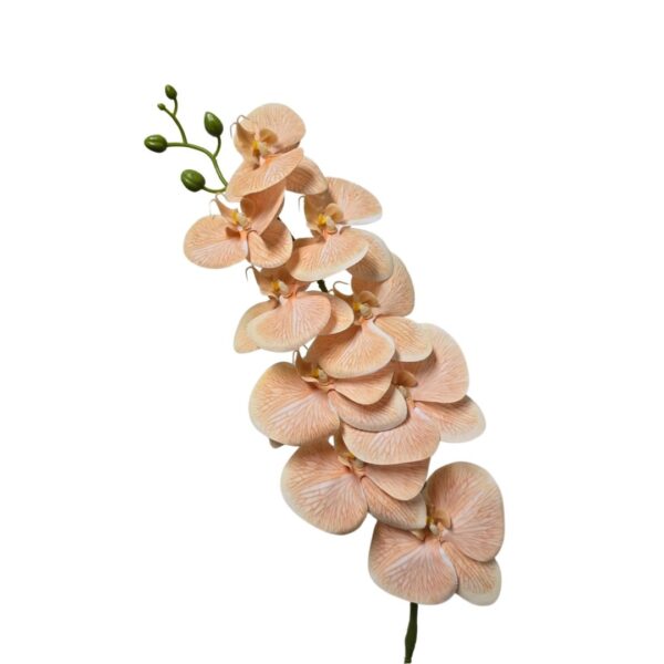 Artificial Phalaenopsis Orchid Peach 80cm
