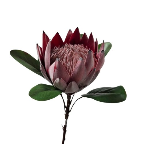 Artificial Protea Australis Dusty Red 65cm