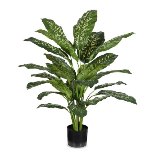 Dieffenbachia Plant 112cm