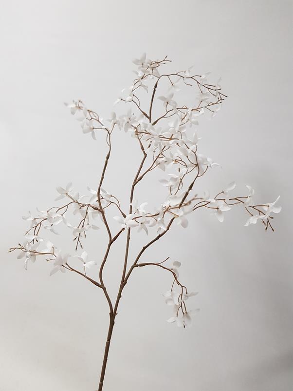 Epidendrum Orchid Spray White 40cm