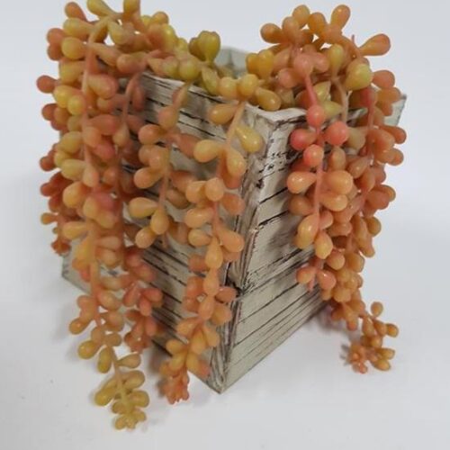 Donkey Tail Short Hanging Succulent Brown  35cm