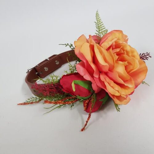 Orange Floral Dog Collar (Med)