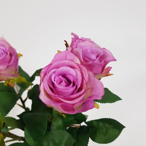 Rose Soft Touch Mauve