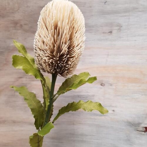 Artificial Dry-Look Banksia 65cm Cream