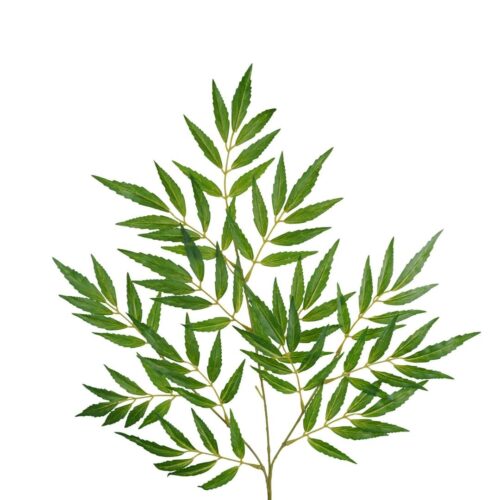 Artificial Cicuta Leaf Spray 62cm