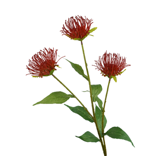 Artificial Native Pin Cushion Spray Red 74cm