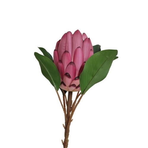 Artificial Protea Neri Dark Pink 68cm