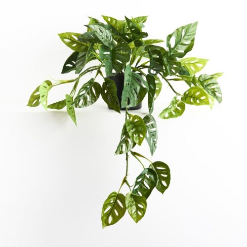Artificial Adansonii Hanging Plant 76cm