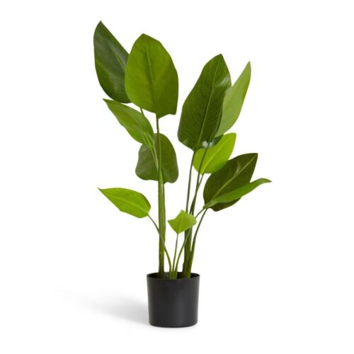 Artificial Bird of Paradise Plant 60cm