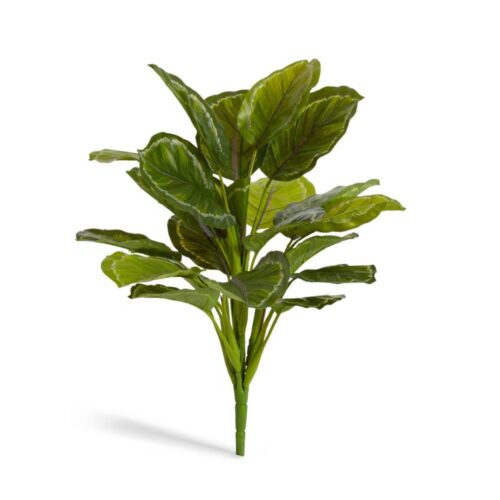 Artificial Calathea Medallion Bush 43cm