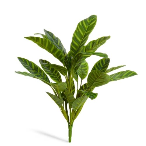 Artificial Calathea Zeb Bush 57cm