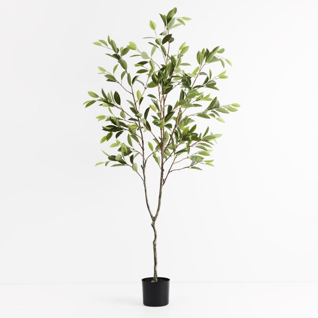Artificial Chinese Elm Tree 180cm