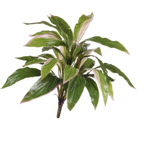 Artificial Cordyline Bush 50cm
