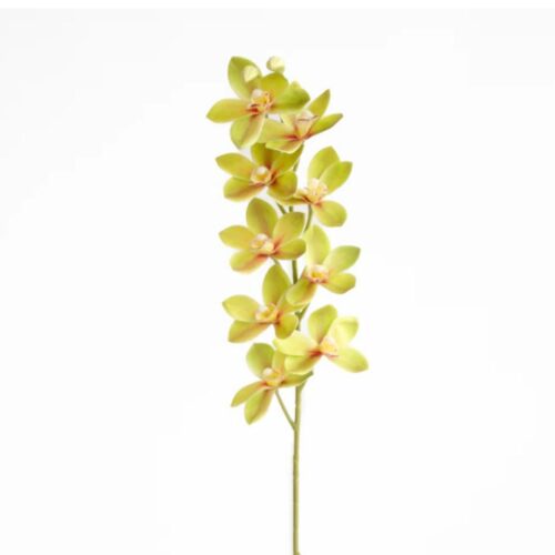 Artificial Dendrobium Orchid Green 75cm
