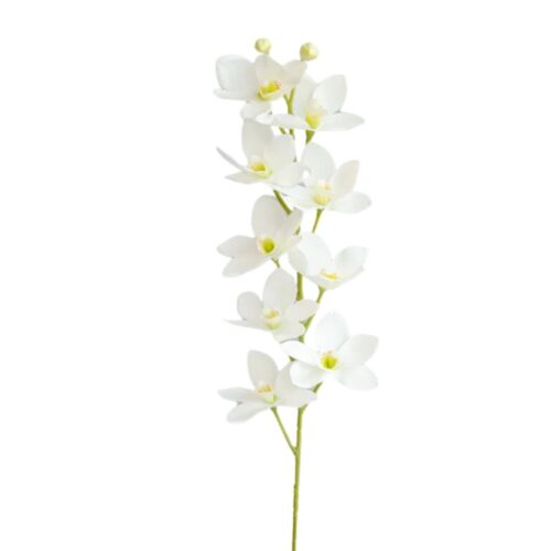 Artificial Dendrobium Orchid White 75cm
