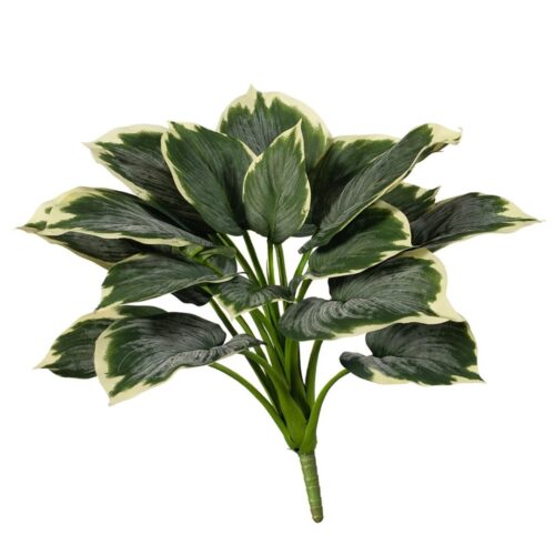 Artificial Hosta Variegated Bush 50cm