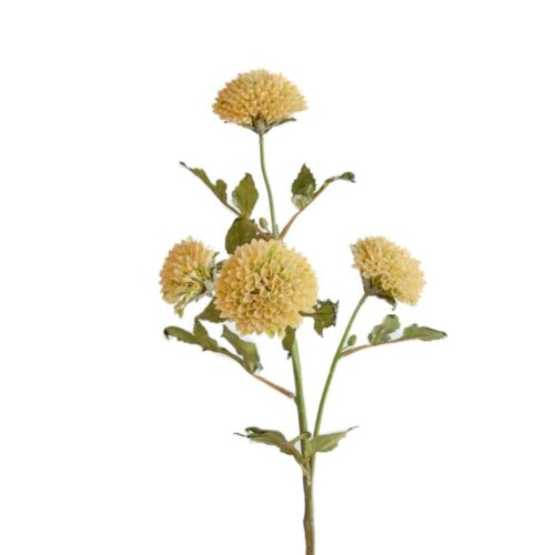 Scabiosa Pincushion Spray Cream 66cm