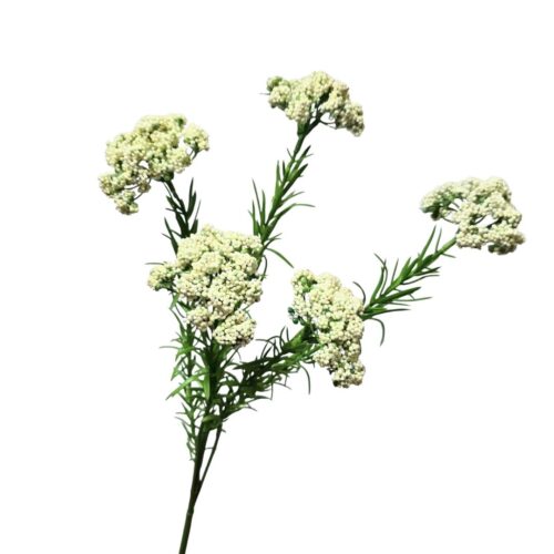 Viburnum Berry x 5 White 73cm