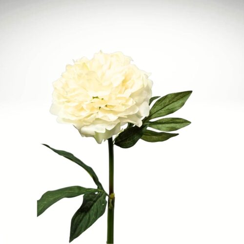 Artificial Peony Maxima Blooming Ivory 60cm